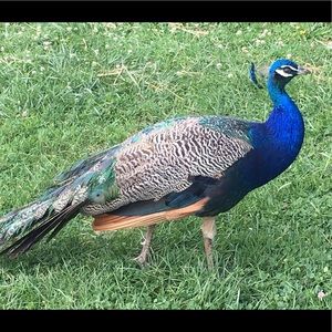 Meet your Posher, Kristina